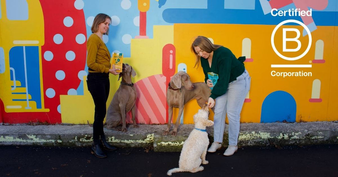Gourmate is NZ's first B Corp certified pet food! đ