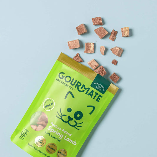 Pasture Raised Spring Lamb for Cats