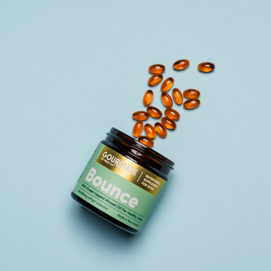 Bounce With Green Lipped Mussel Oil For Healthy Joints