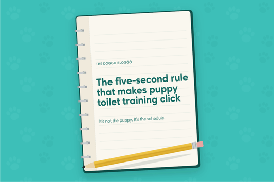 The Five-Second Rule That Makes Puppy Toilet Training Click