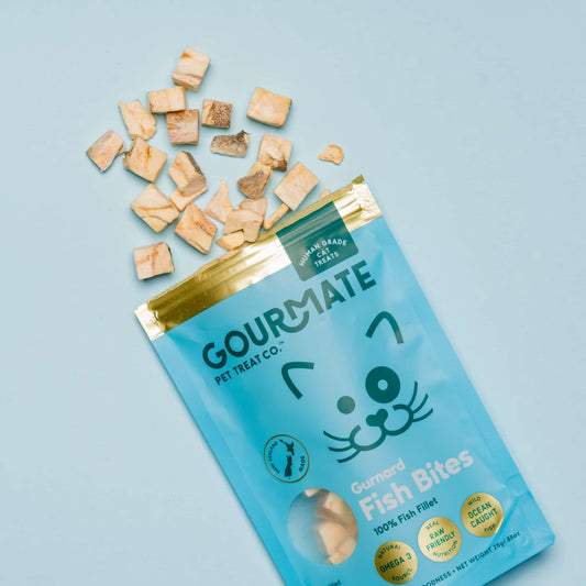 Gurnard Fish Bites for Cats