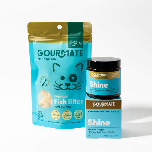 Super Bundle Promote Luscious Skin and Coat for Cats